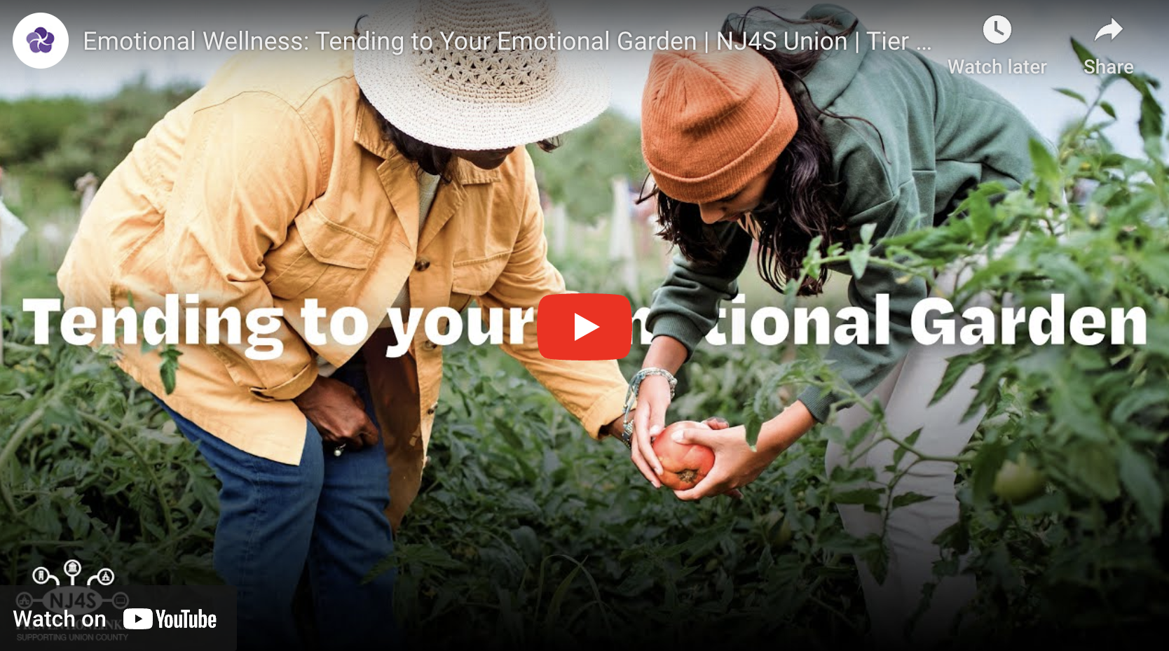 Emotional Wellness: Tending to Your Emotional Garden